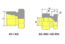 Plug-4D