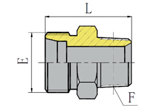 BSPT MALE