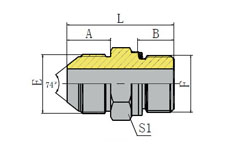METRIC MALE 74º CONE/BSP MALE O-RING