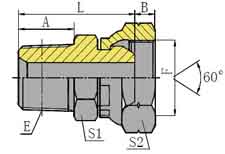 NPT MALE/BSP FEMALE 60º CONE