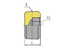 NPT MALE HOLLOW HEX PLUG