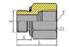 BSP MALE O-RING/NPT FEMALE