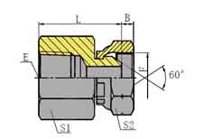 NPT FEMALE/BSP FEMALE 60º CONE