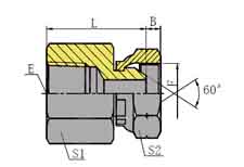 NPT内螺纹/英制内螺纹60º外锥