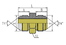JIC MALE 74ºCONE