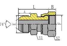 JIC MALE 74º CONE/ORFS FEMALE
