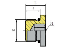 SAE O-RING BOSS HOLLOW HEX PLUG