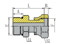 SAE O-RING BOSS/ORFS FEMALE