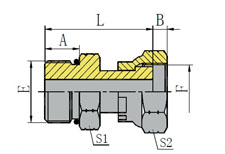 SAE外螺纹带O形圈/ORFS内螺纹