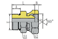 SAE O-RING BOSS/BSP FEMALE 60o CONE