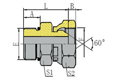 SAE外螺纹带O形圈/英管内螺纹60 °外锥