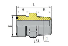 ORFS MALE/BSPT MALE