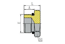 SAE O-RING BOSS PLUG