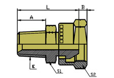 NPT MALE/NPSM FEMALE60º CONE
