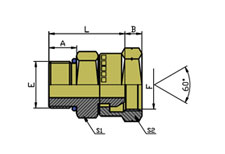SAE 0-RING BOSSL-SERIES