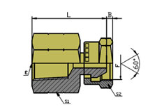 NPT FEMALE/NPSM FEMALE60º CONE