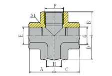 BSP FEMALE
