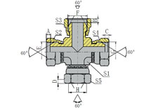 BSP FEMALE 60º CONE