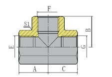 BSP FEMALE