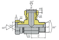 BSP FEMALE/BSP FEMALE/BSP MALE