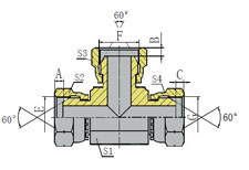 BSP FEMALE 60º CONE