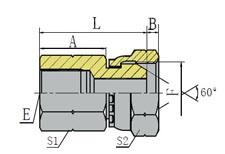 BSP FEMALE/BSP FEMALE 60º CONE