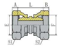 BSP FEMALE MULTISEAL
