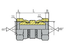 BSP FEMALE 60º CONE/METRIC FEMALE 60º CONE