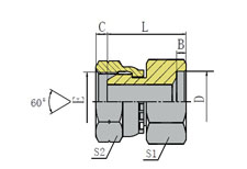 BSP FEMALE 60º CONE/INCH SOCKET-WELD TUBE