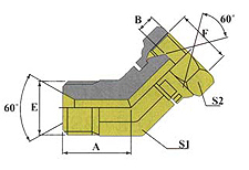 45ºELBOW BSP MALE 60ºSEAT/BSP FEMALE 60ºCONE-P2B4