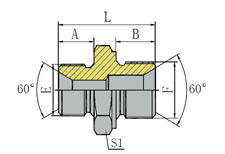 英管外螺纹60º内锥/公制外螺纹60º内锥 BSP