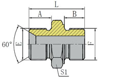 BSP MALE 60º SEAT/METRIC MALE BONDED SEAL