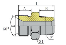 BSP MALE 60º SEAT/NPT MALE