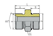 BSP MALE 60º SEAT/SAE O-RING BOSS