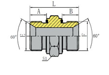 BSP MALE 60º SEAT CAPTIVE SEAL