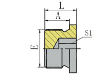 BSP MALE CAPTIVE SEAL HOLLOW HEX PLUG