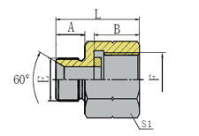 BSP MALE 60º SEAT/BSP PRESSURE GAUGE CONNECTORS