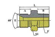 BSP MALE/BSPT MALE