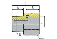 BSPT MALE/BSP PRESSURE GAUGE CONNECTORS