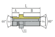 BSP MALE 60º SEAT BULKHEAD