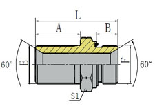 BSP MALE 60º SEAT/BSP MALE CAPTIVE SEAL