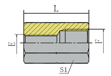 BSP FEMALE