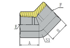45º BSP FEMALE