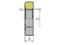 BSP LOCKNUT