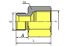 BSP MALE DOUBLE USE FOR 60º DEGREE SEAT OR BONDED SEAL/ BSP FEMALE ISO 1179