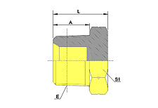 BSP MALE PLUG