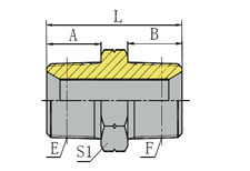 BSPT MALE