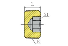BSPT MALE HOLLOW HEX PLUG