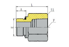 BSP MALE O-RING/BSPT FEMALE