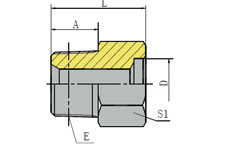 BSPT MALE/INCH SOCKET-WELD TUBE